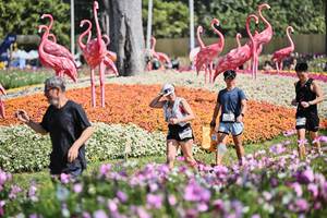 BIB: 
                            <button type="button" onclick="openModal(27794257)" class="btn btn-primary btn-sm float-right btn-popup" data-toggle="modal" data-target=".modal-high-quality">
                        <i class="fas fa-shopping-cart"></i> Add to Cart
                    </button>
                                            <button type="button" onclick="isThisMe(27794257, true)" class="btn btn-success btn-sm float-right btn-popup btn-isme hidden" data-toggle="tooltip" data-placement="bottom" title="นี่คือรูปของคุณใช่ไหม คลิกที่นี่เพื่อเอาเข้าอัลบั้ม">
                        <i class="fas fa-plus"></i> Add to album
                    </button>
                    <button type="button" onclick="isThisMe(27794257, false)" class="btn btn-warning btn-sm float-right btn-popup btn-isnotme hidden">
                        <i class="fas fa-ban"></i> Remove from album
                    </button>